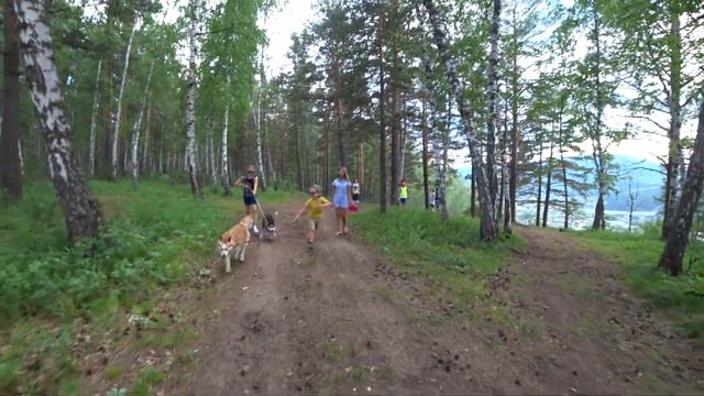 гуляем с Хаски walk s husky смотреть онлайн
