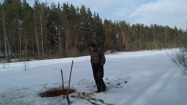 Лесное озеро ,обзор смотреть онлайн