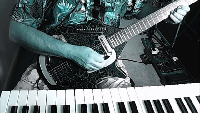 Danelectro Electric Sitar -  IRaga