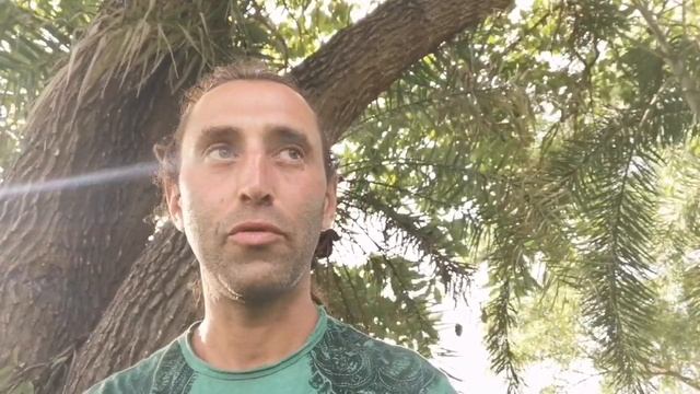 Марафон, день 6-й. Противопаразитарная чистка отваром корок граната. смотреть онлайн