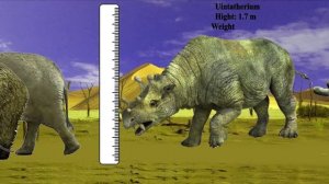 Extinct Animals Size | Most popular Genius animals in the world 2021|Size Comparison |Cenozoic Beas