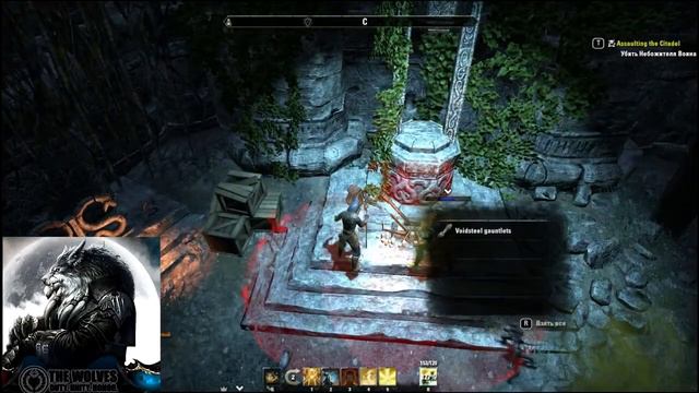 [TESO] Прохождение NSO [The Wolves] 1.03.17