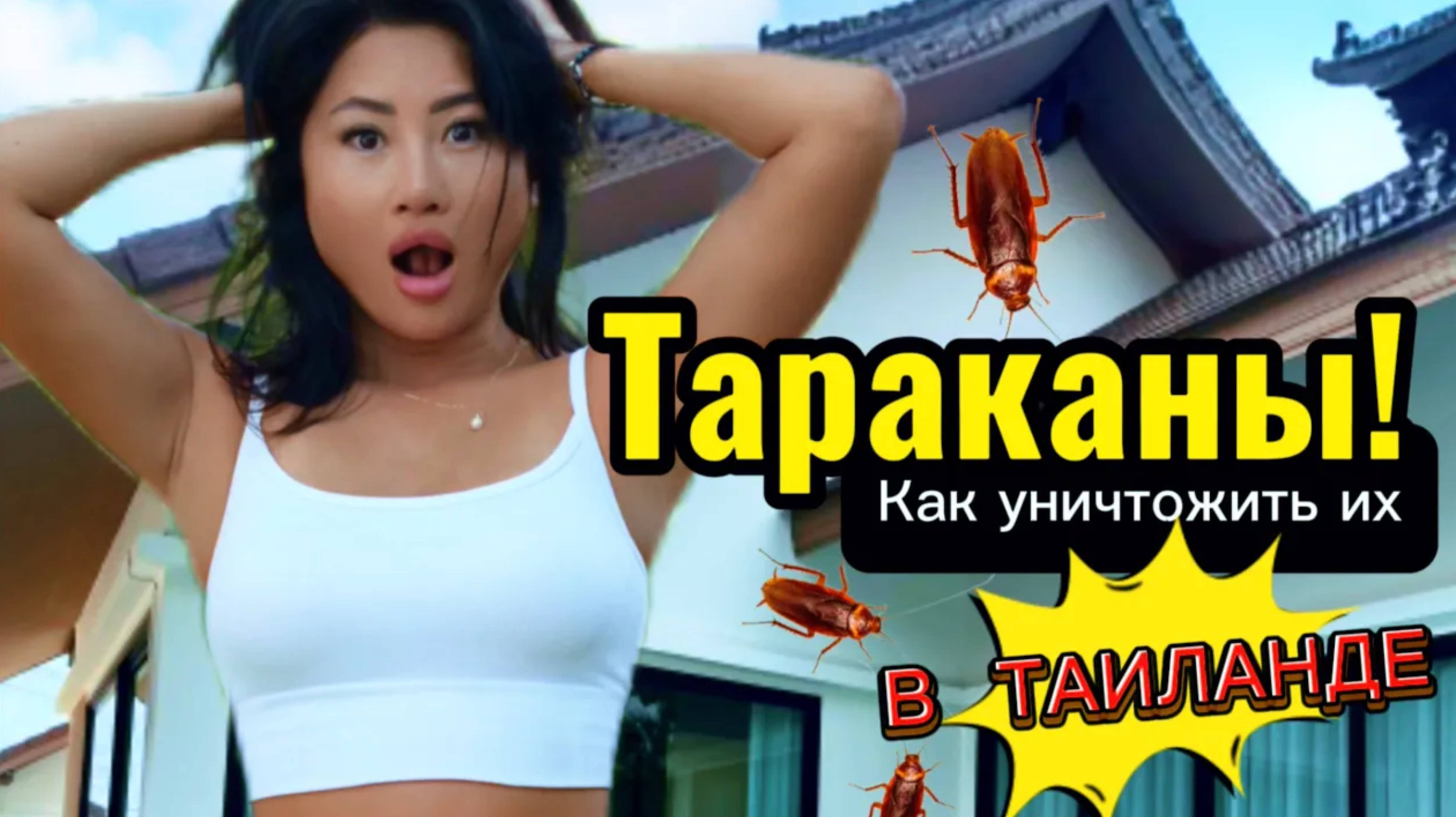 Как выглядит обработка территории от насекомых в Таиланде, если есть свой дом! смотреть онлайн