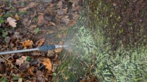 ЖЕЛЕЗНЫЙ КУПОРОС от вредителей и болезней. Обработка сада и опрыскивание деревьев.