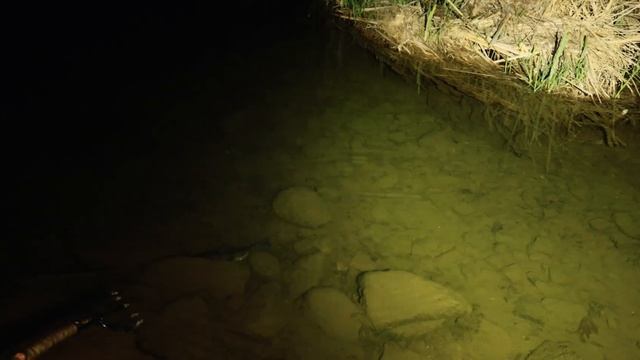 Air Rifle Fishing Reel HARPOON Mod | Sucker Fish Catch & Cook смотреть онлайн