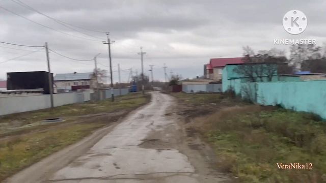 Техникум со двора. Ярмарка приехала. Шопинг(не по нашему) мой. Адамовка влог. Три в одном .8.11.23. смотреть онлайн