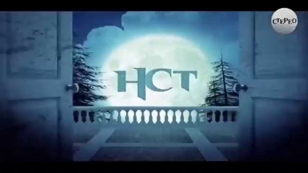 Профилактика нст