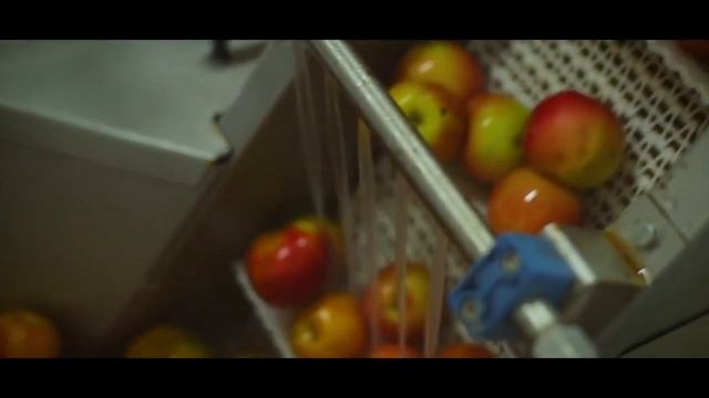 Томский сельскохозяйственный институт