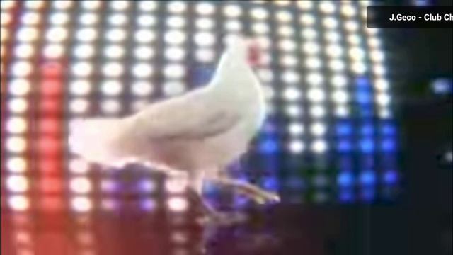 Курица танцует.