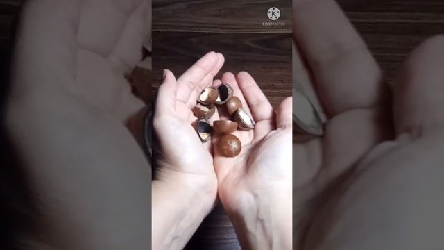 Красивая бижутерия из природных материалов)))