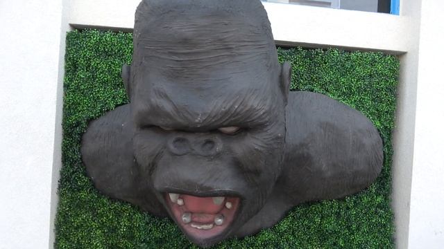 Things To Do In Virginia Beach with The Legend смотреть онлайн