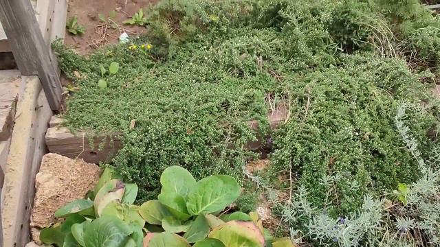 Сегодня самый замечательный день смотреть онлайн