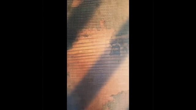 каминопечь для дачи смотреть онлайн
