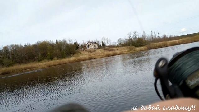 река Луга, ловим сырть, Кингисепп, ранняя весна 2020 смотреть онлайн