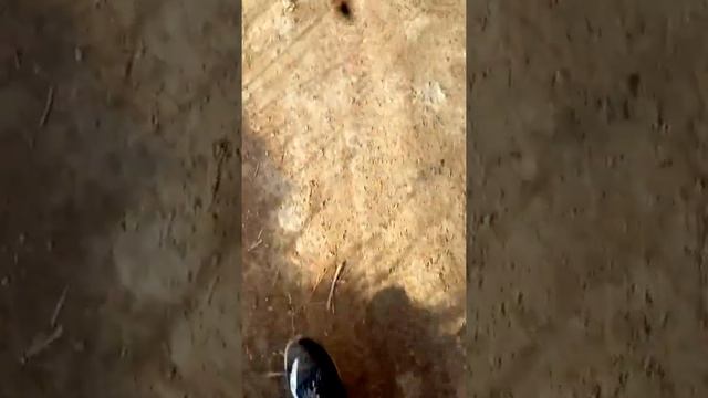 Нашёл телефон с другом смотреть онлайн
