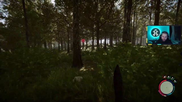 Sons of the Forest [Early Access] [Zielscheibe] #12 смотреть онлайн