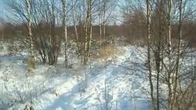 Hunting, a fox and rysskaya gontjaja смотреть онлайн