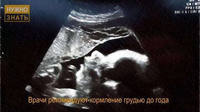 37 неделя беременности. Развитие плода. УЗИ в 3D и 4D Что чувствует беременная. Как выглядит ребено смотреть онлайн