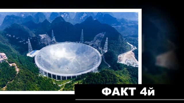 7 интересных фактов. Улитки могут спать до 3х лет... смотреть онлайн