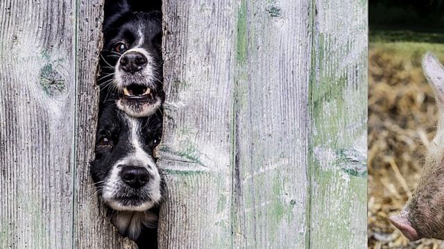 "Задумайтесь, друзья!" - притча-стих. смотреть онлайн