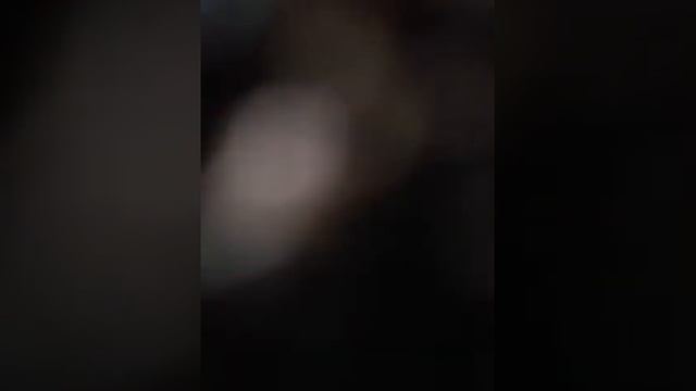 Fishing white catfish in development смотреть онлайн