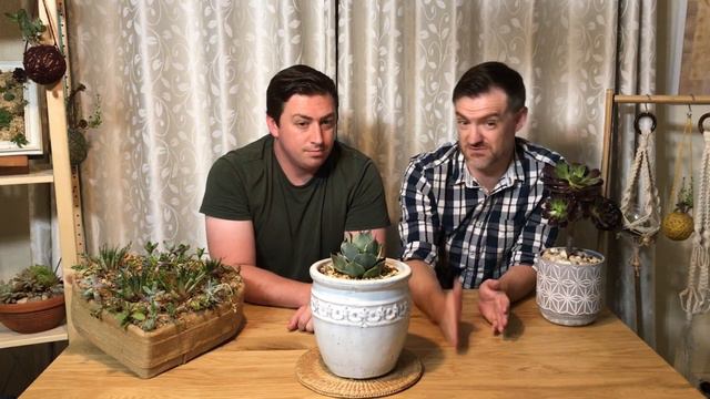 Foster & Grow - Agave Tradewinds смотреть онлайн