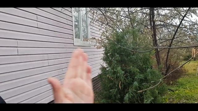 Купила самый дешевый дом в деревне около Москвы