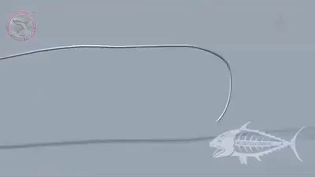 Топ 5 узлов для связывания лески!) смотреть онлайн