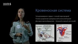 Класс Птицы. Птицеводство. Биология ОГЭ