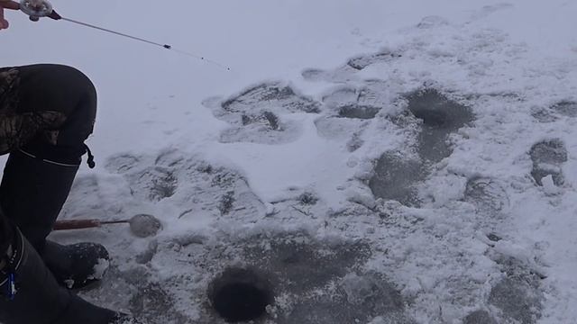 ВОЛОСЫ ДЫБОМ, КОГДА ТАКОЕ ВИДИШЬ, РЫБАЛКА НА БЕЗМОТЫЛКУ С КАМЕРОЙ смотреть онлайн