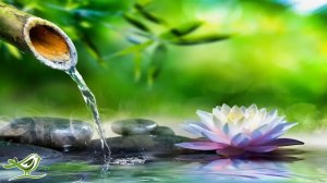 Расслабляющая фортепианная музыка • Музыка для сна, звуки воды, расслабляющая музыка