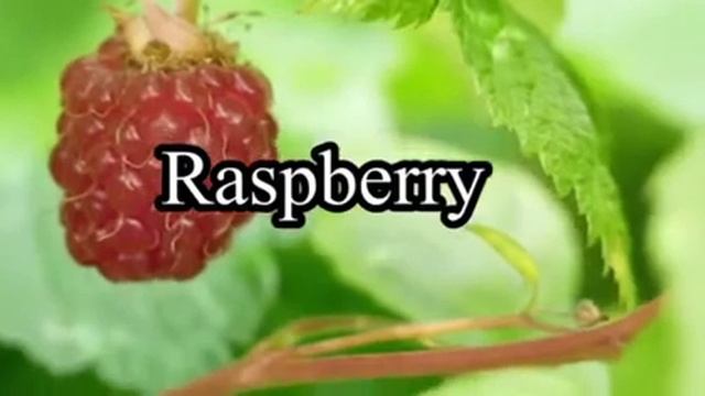 Different Types of berries with pictures & names | 7 Different types of berries name | Fruits name смотреть онлайн