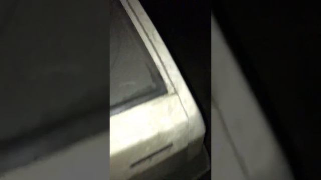 КОЗЫ СИДЕЛИ 2 НЕДЕЛИ В БАГАЖНИКЕ 2109 смотреть онлайн