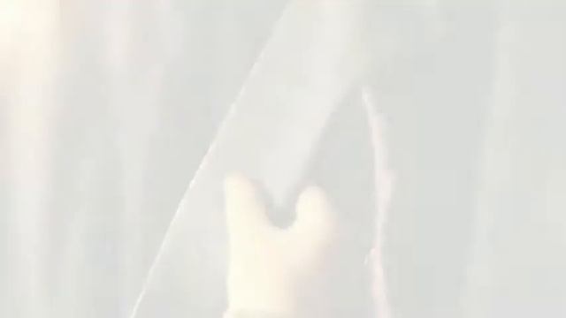 Мир Обоев.mp4