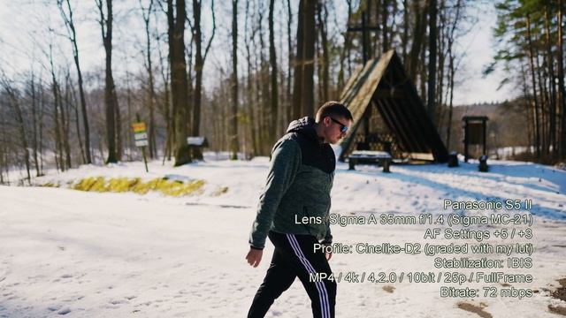 Panasonic S5 II - AF Test - Sigma A 35mm f/1.4 EF + Sigma MC-21 смотреть онлайн