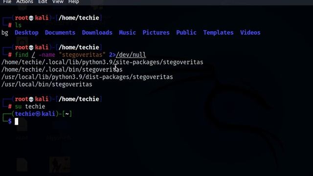 how to solve "stegoveritas_install_deps:command not found" смотреть онлайн