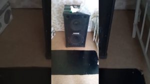 Колонка концертная дома