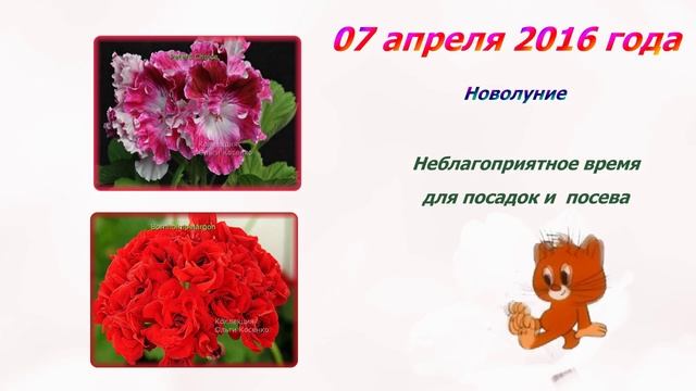 Лунный календарь 04 апреля 10 апреля 2016 года Цветочный городок смотреть онлайн