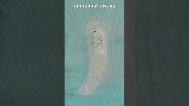 Мантра привлекает успех и процветание✨Mantra attracts success and prosperity смотреть онлайн