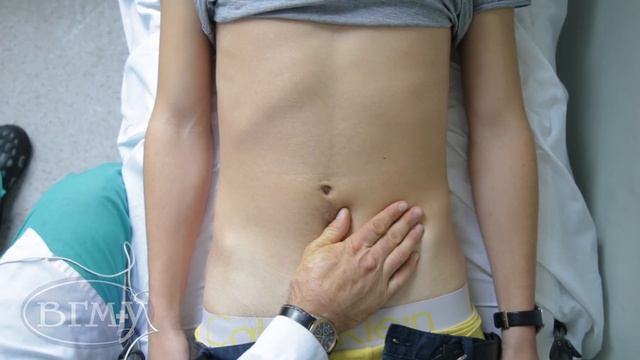 ПОВЕРХНОСТНАЯ ПАЛЬПАЦИЯ ПЕРЕДНЕЙ БРЮШНОЙ СТЕНКИ смотреть онлайн