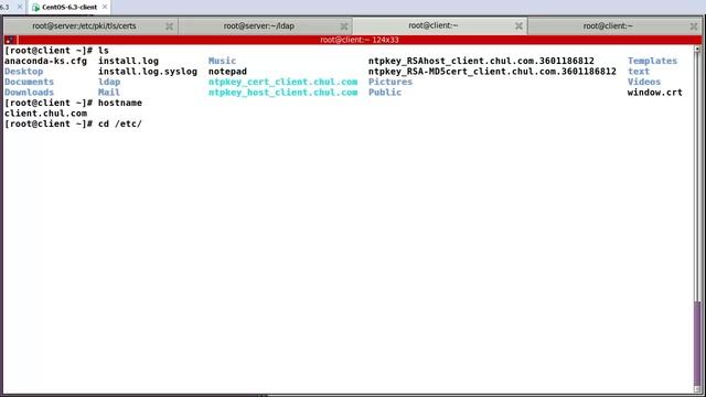 OpenLDAP on CentOS 6.5 - part 4/4 смотреть онлайн