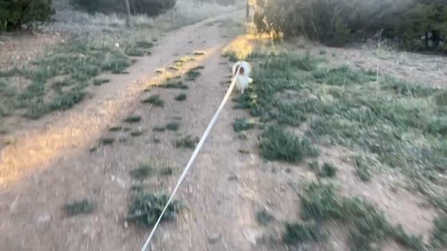 [Meta] Garbled `ImageClip` смотреть онлайн