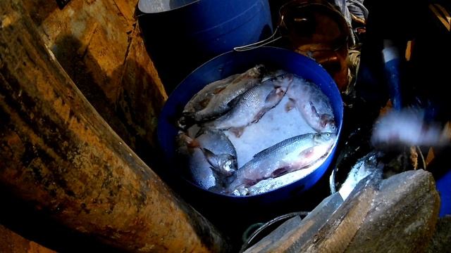 Язь колодкой. Сухой посол рыбы..mp4 смотреть онлайн