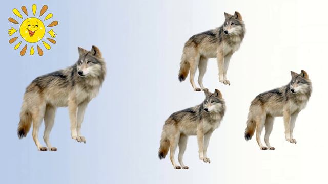 Дикі тварини (один - багато) смотреть онлайн