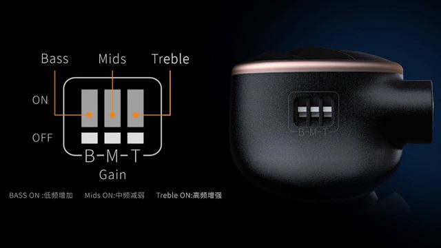 FiiO FH5s(Video Of  Tuning Switch)