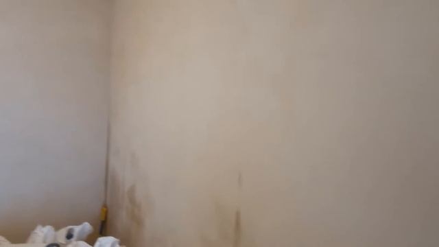 Штукатурные работы (1)