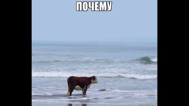 ура я компьютер смотреть онлайн