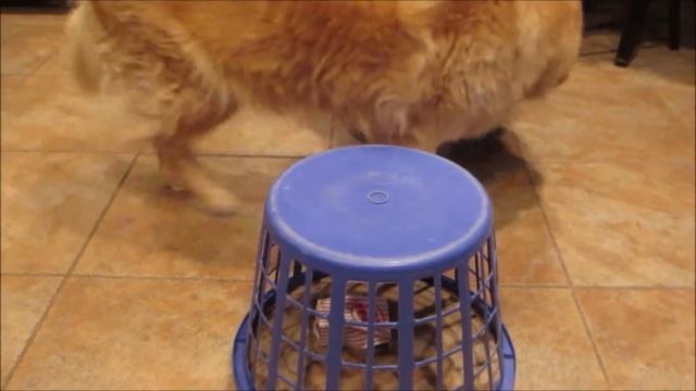 How to play the Laundry Basket game! смотреть онлайн