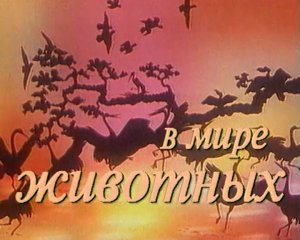 В мире животных.