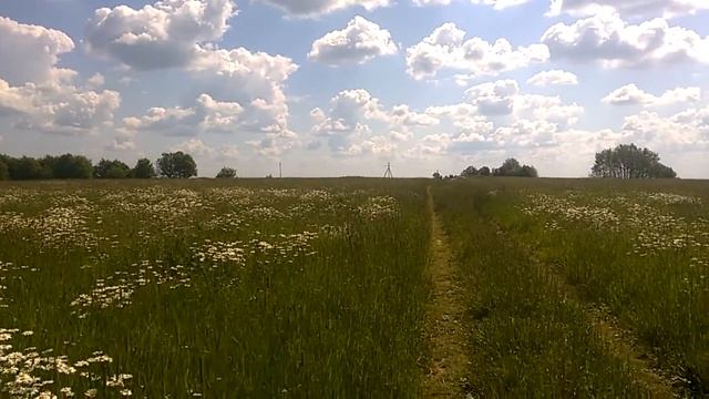 Самая высокая точка Московской области - вид на Замри-гору от её подножия - 2 ч из 5 смотреть онлайн